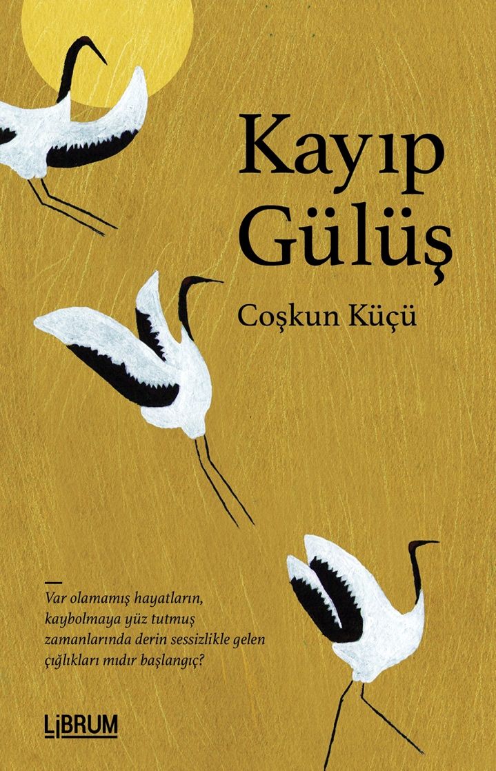 2f7e13b7a709448cb27cae3e53af268b_front.jpg Kayıp Gülüş - Görsel 1